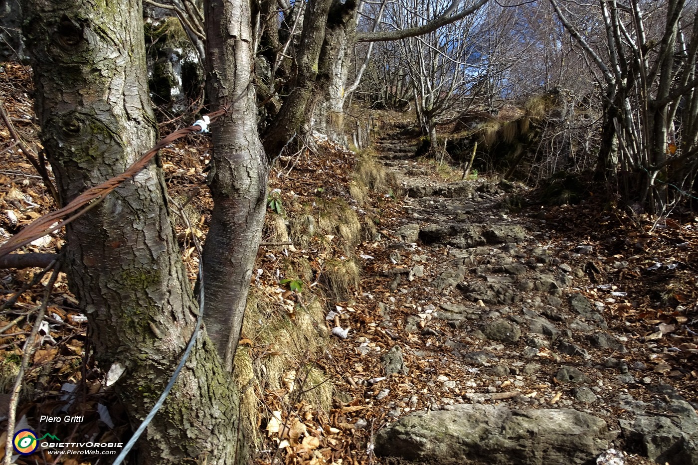 37 In decisa salita per il Monte Zucco.JPG